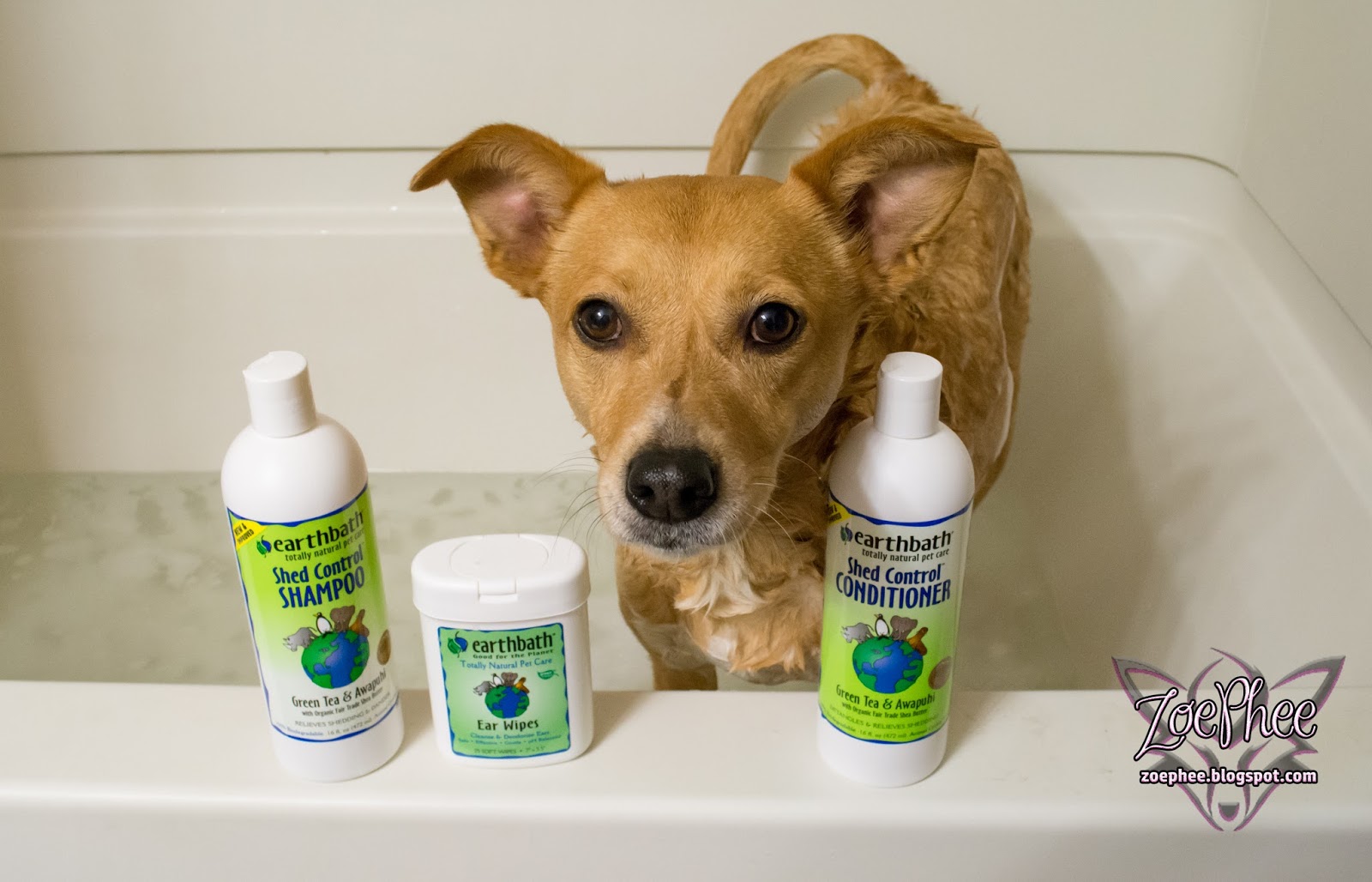 ZoePhee Earthbath Shed Control Shampoo & Conditioner Review