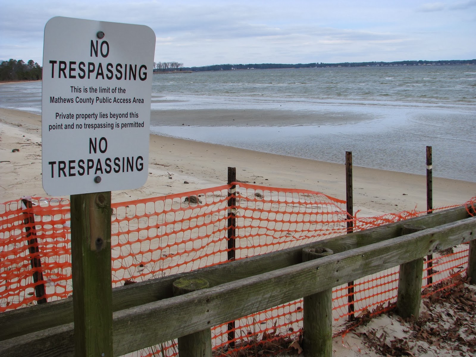 Life in Mathews Piankatank River