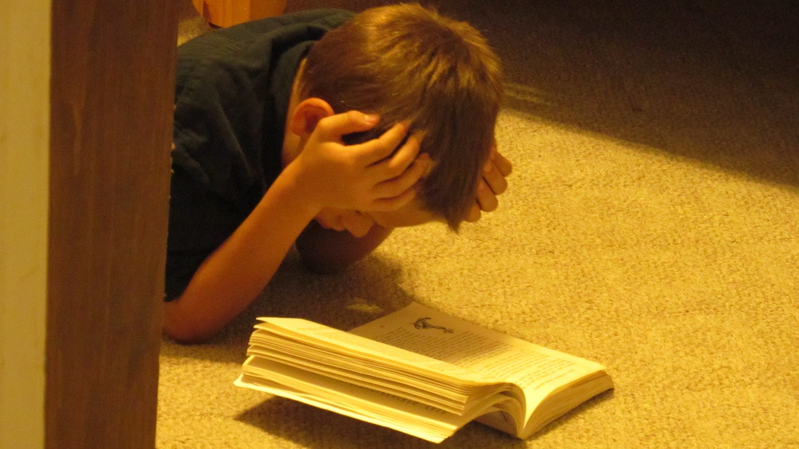 Daily Coping Skills: 2012