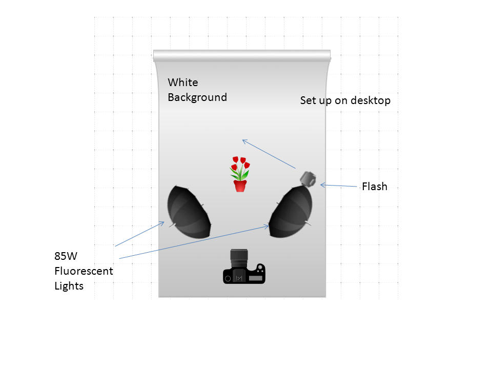 Think About Photography... Lighting Setup For Tabletop Flowers
