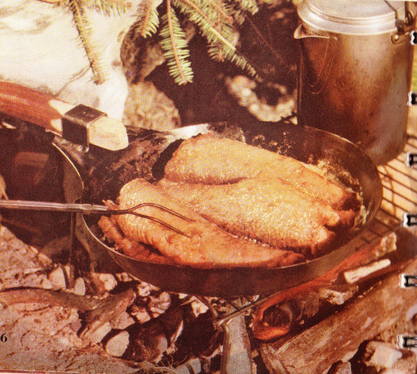 Thrifty Outdoor Enthusiast Wheelbarrow Grill, barbecue fish, fish n