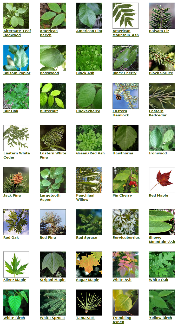 Colonial Bay Cottages Muskoka Canada September 2013