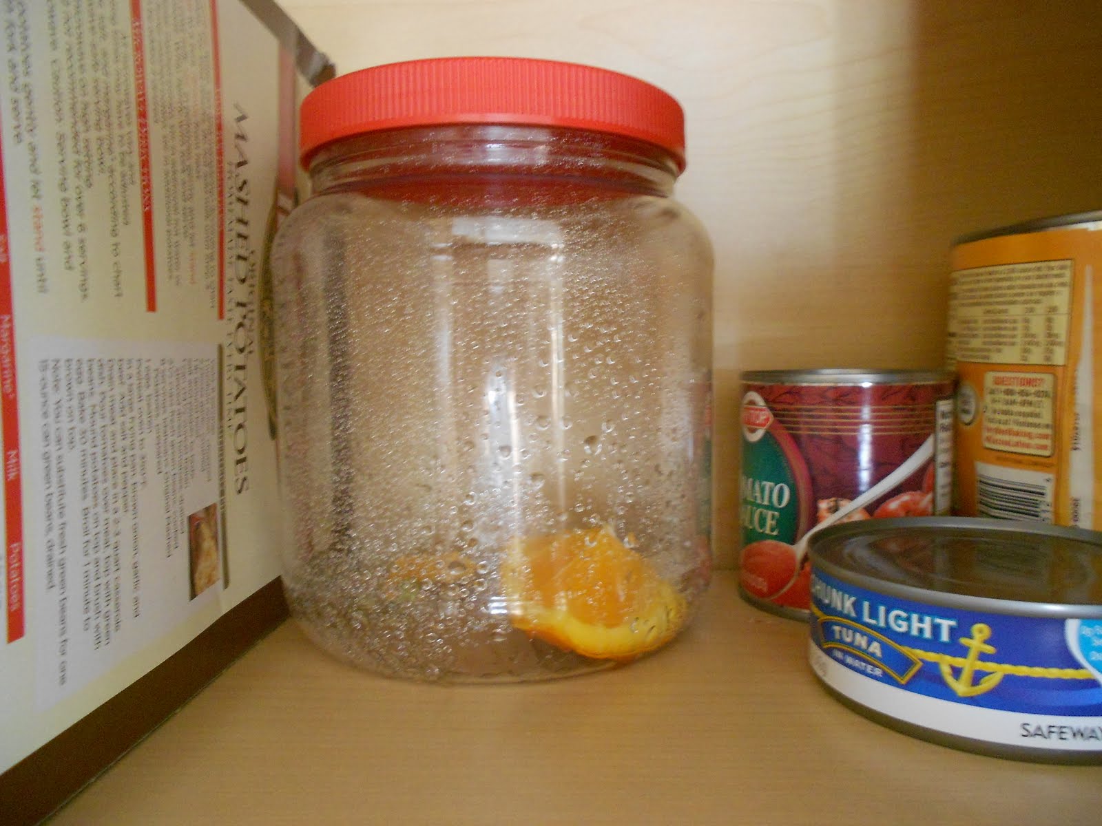 Almost Unschoolers How to Make a Mold Terrarium