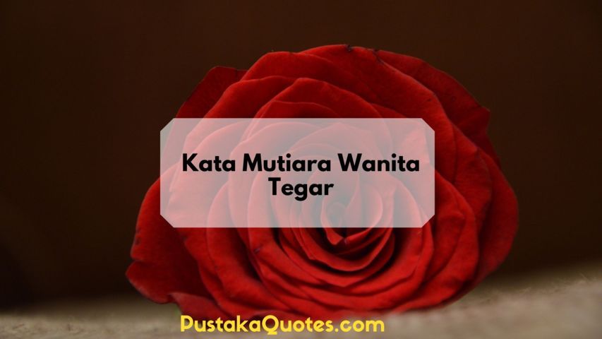 100 Kata Kata Tegar Menghadapi Masalah Cinta | Lucu dan Keren - Pustaka