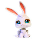 Littlest Pet Shop Seasonal Rabbit (#3) Pet