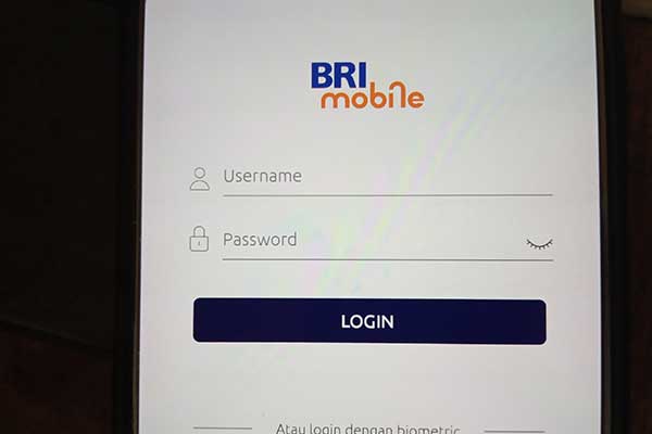 Apa Itu User Id Di Bri Arti Mania