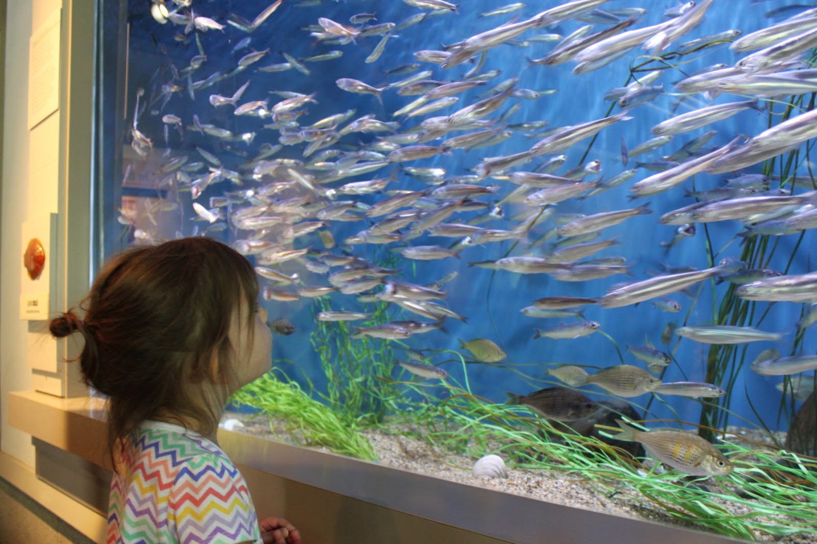 The Blakeys Oregon Coast Aquarium