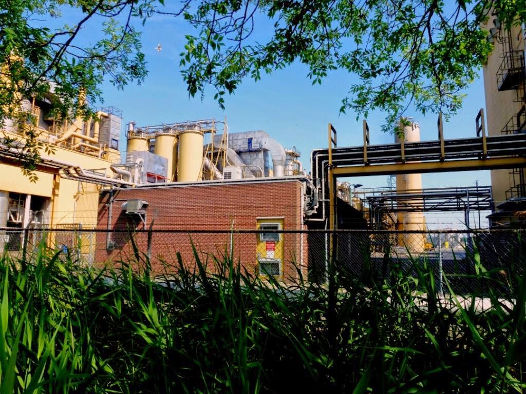 BERGEN OP ZOOM IN PICTURES THEODORUSHAVEN