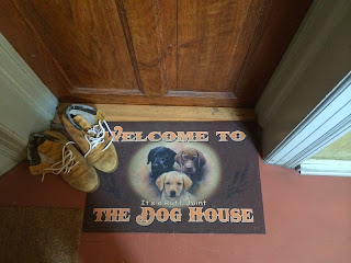 Dog house