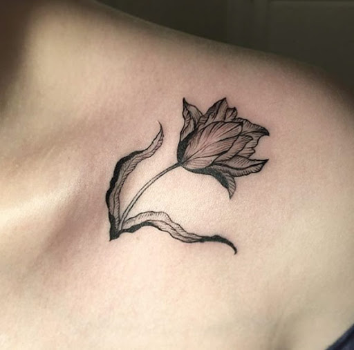 Esta manhã, flor
