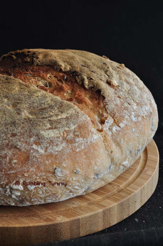 Rumbling Tummy Spelt and seeds Sourdough Bread (same day)