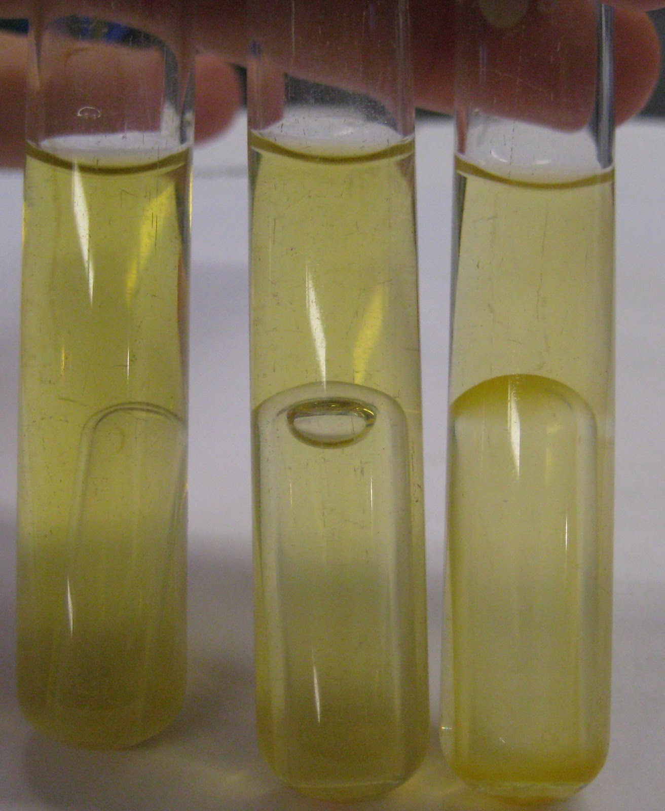 DVC Microbiology 146 Fall 11 (Gard) September 2011