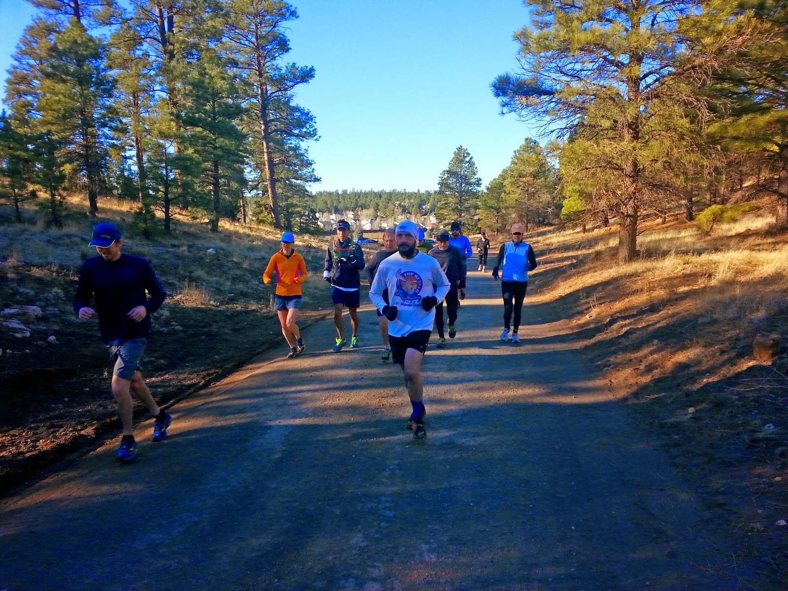 Flagstaff Trail Running Campbell Mesa Hot Summer February Run