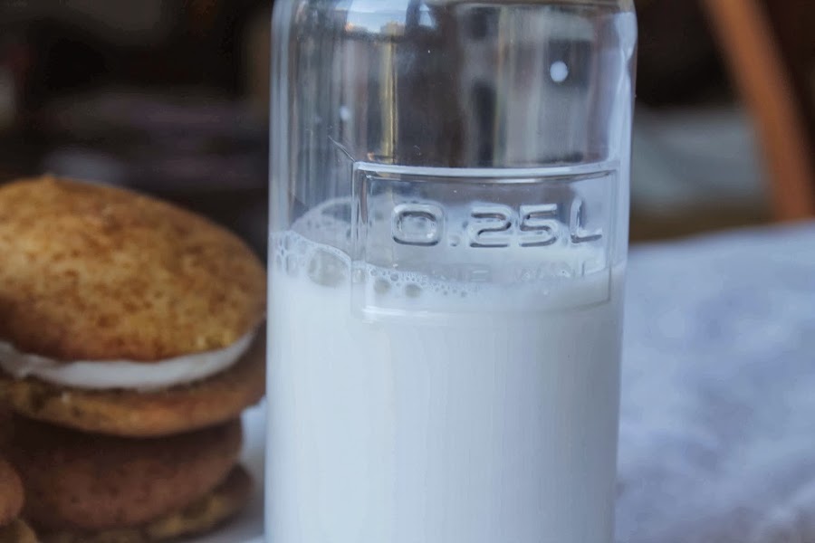 Whoopie pies de calabaza rellenos de crema de vainilla