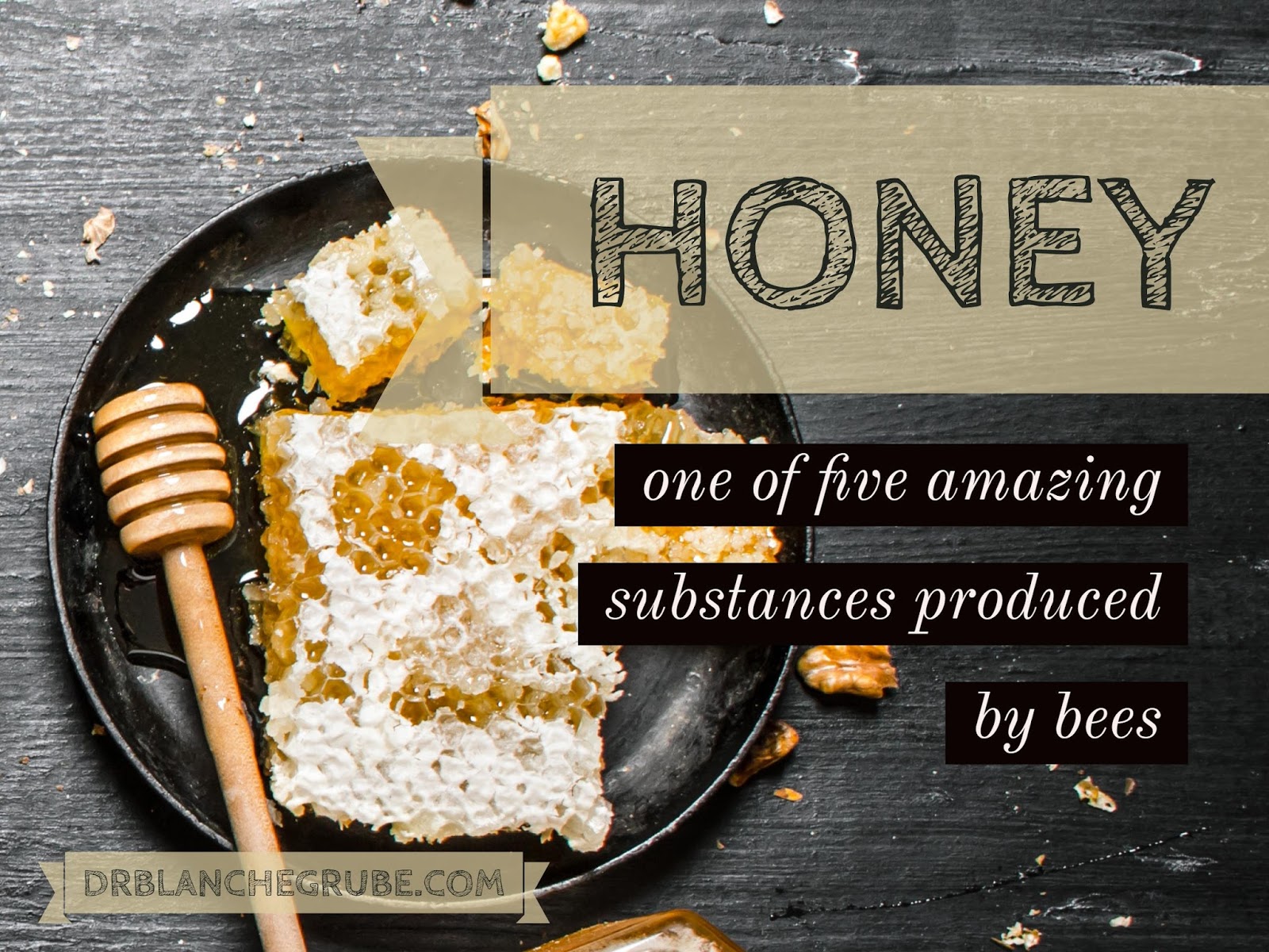 Dr. Blanche D. Grube Clinic 2016