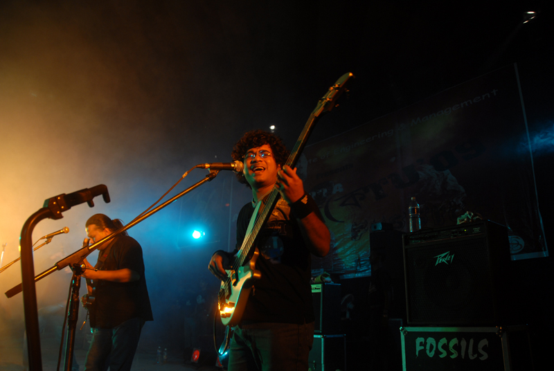 kolkata Rockers Fossils