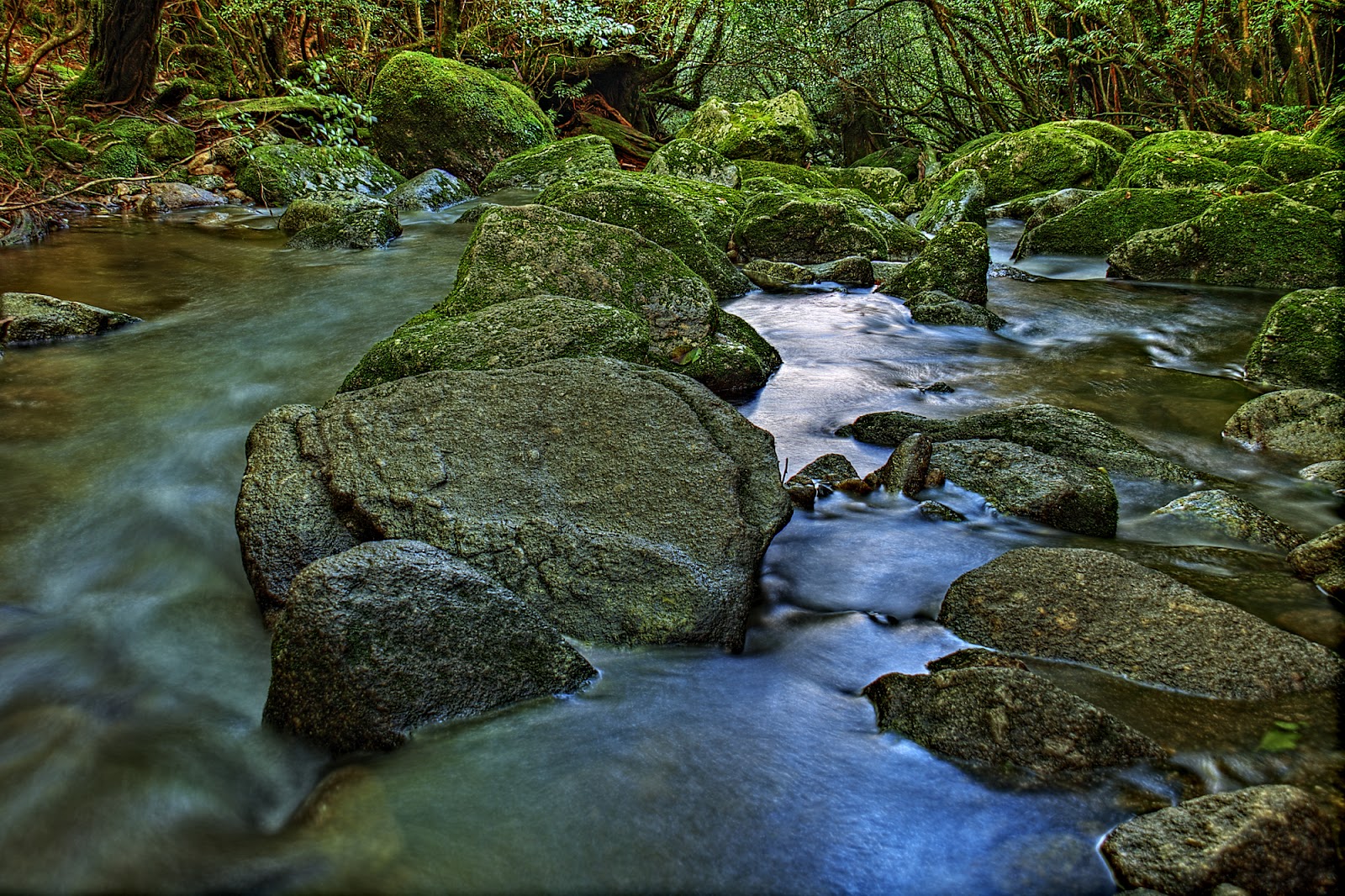 Hata3's Photo Haiku The mossy rocks