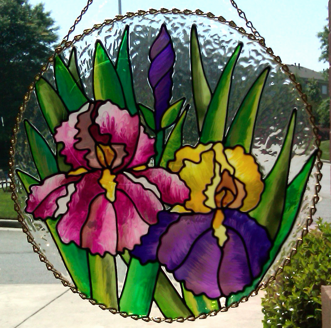 gallery-glass-class-bearded-irises-of-gallery-glass