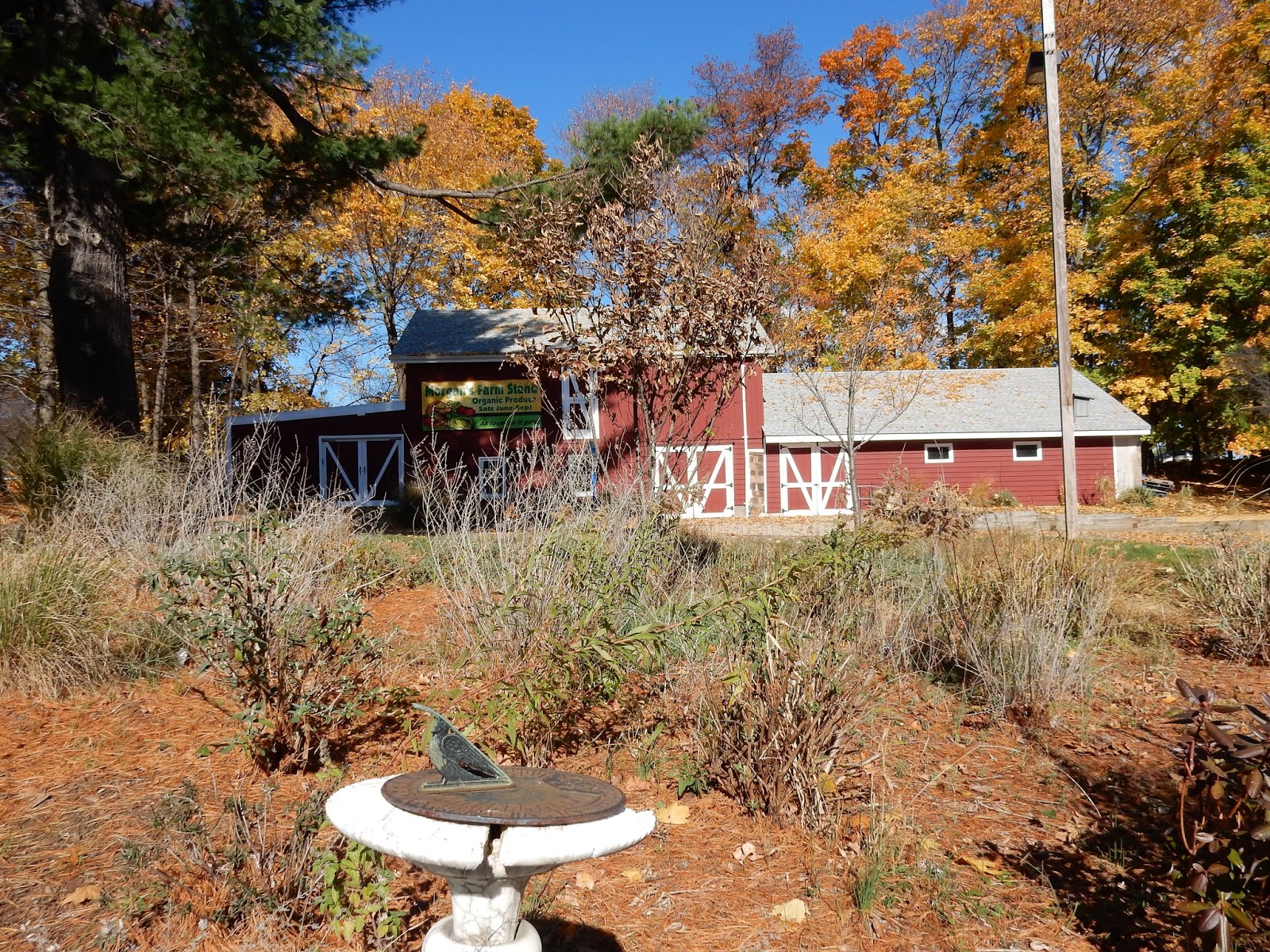New Jersey and You Perfect Together, Liberty and Prosperity Canfield