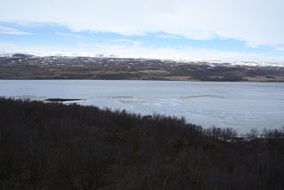 monster laut islandia