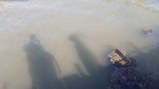 PLACES / Porto Palafita, Carrasqueira, Portugal