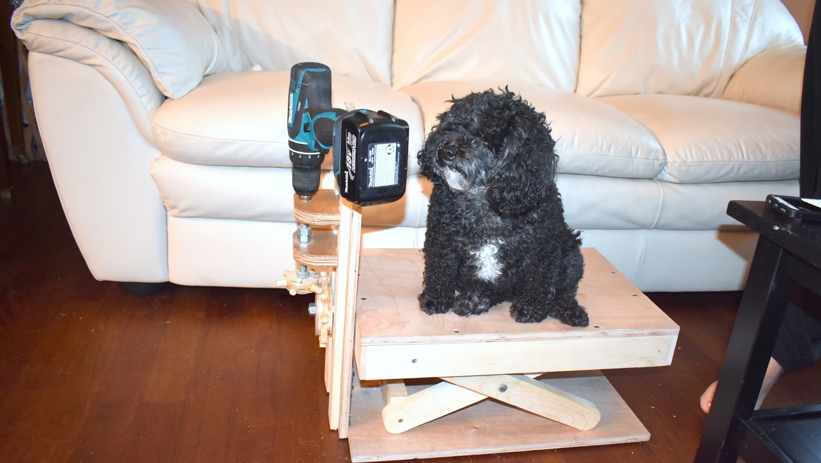 Jax Design Dog Elevator