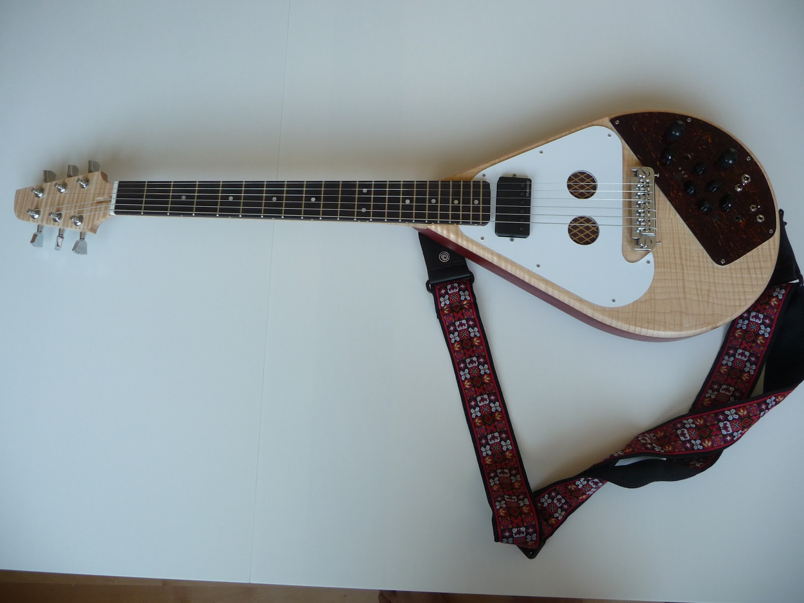2012+Guitare+Peau+rouge+-+Alien.JPG
