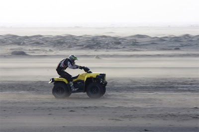 2011 Cectek 500 Efi Gladiator