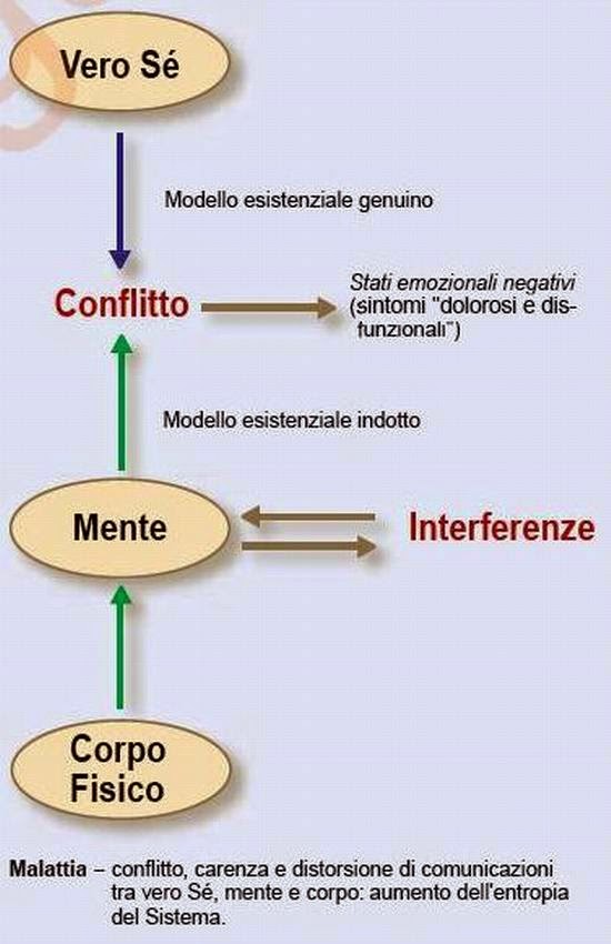 Risultati immagini per corpo olismo