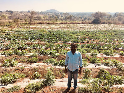 organicfarmer