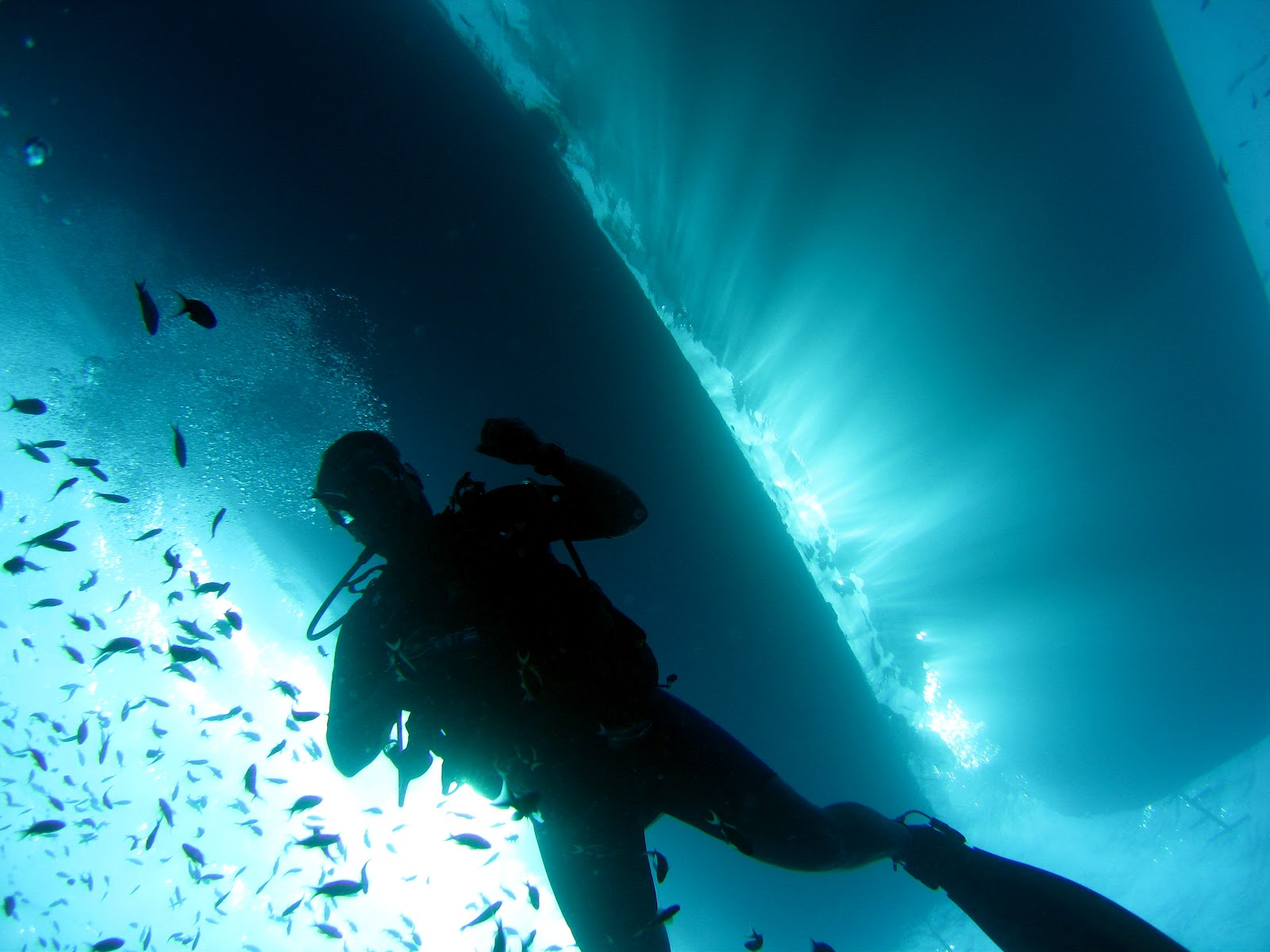 Scuba diving in Thailand information and advice What’s a Safety Stop?