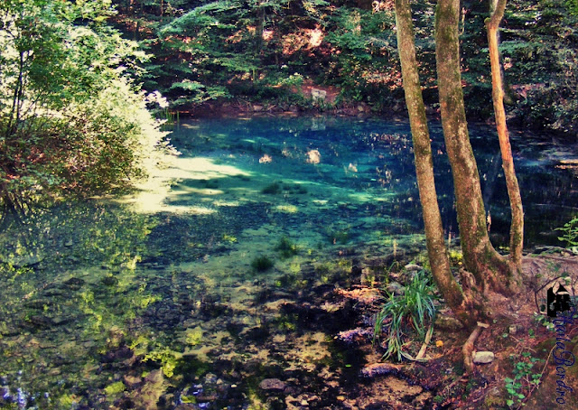 lacul ochiul beiului 2008