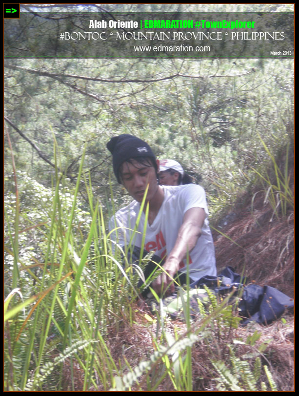 Mt. Gotong, Alab Oriente, Bontoc, Mountain Province