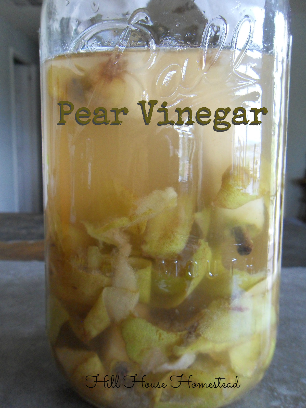 Hill House Homestead Long Time No See & Pear Vinegar