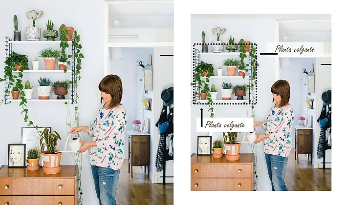 Cómo hacer composiciones con plantas