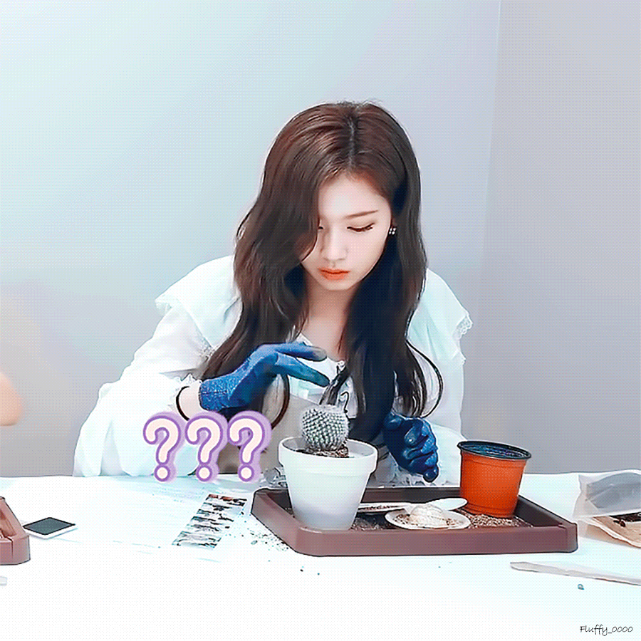 99FE2D475F61EED20E.gif