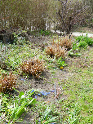 Toronto Summerhill spring garden cleanup after Paul Jung Gardening Services