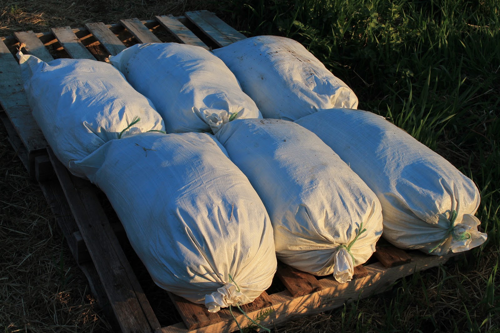 Stark Hollow Farm Compost Vermont Black Gold!