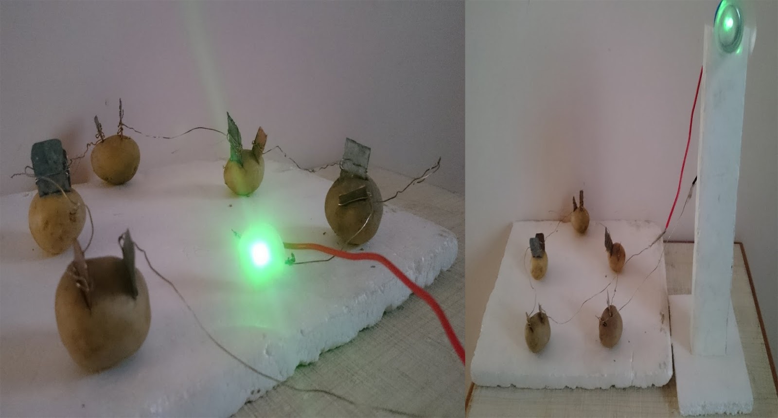 A New Source of Electricity from Potatoes. Let Your Hair Down!