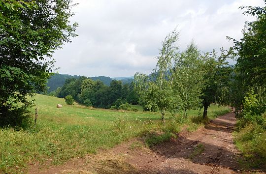 Polna droga schodząca do doliny potoku Dańczówka.