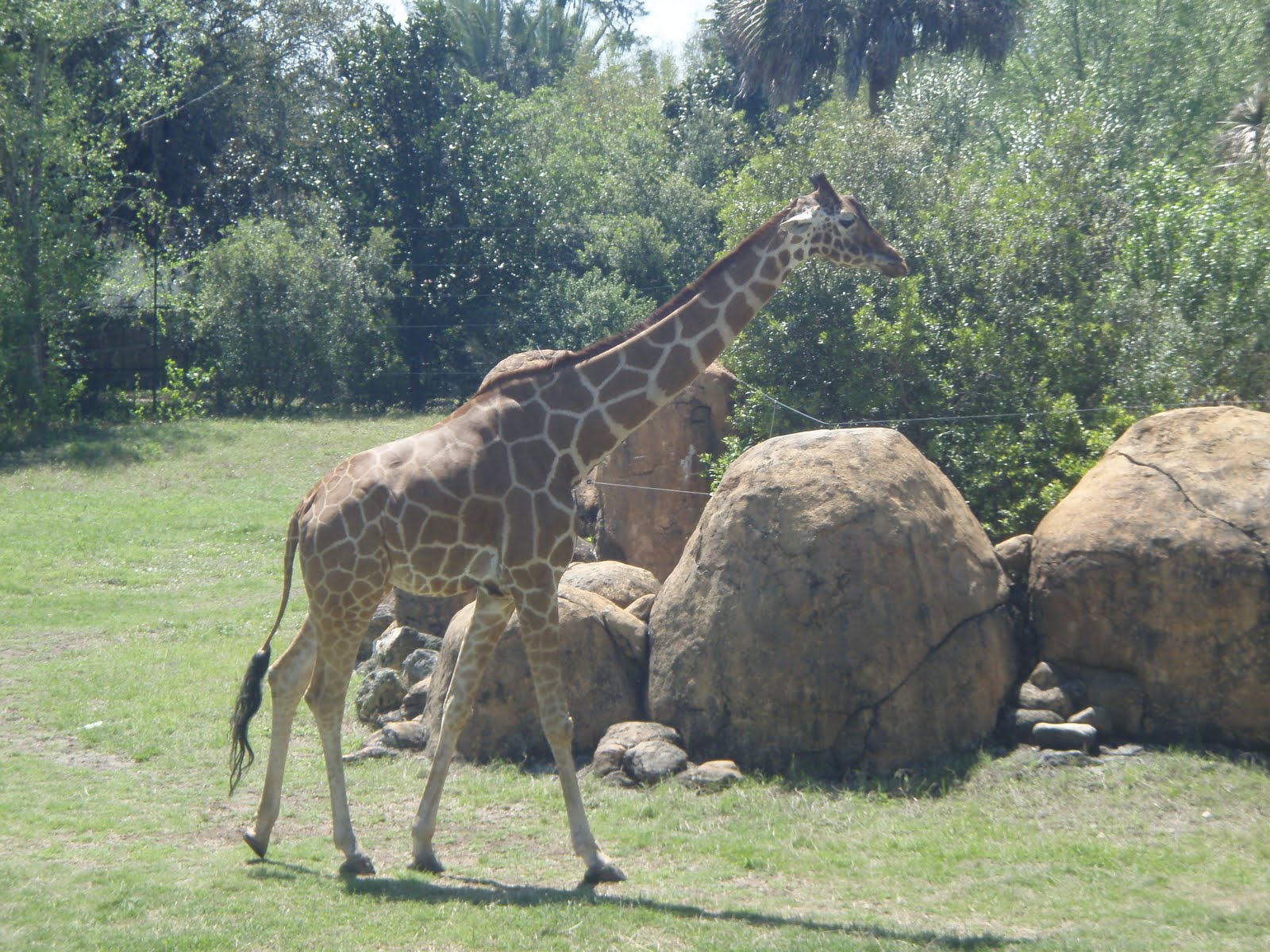 The Flavin Family Jacksonville Zoo!