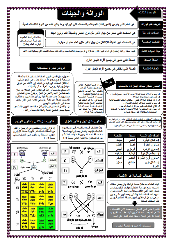  مراجعة علوم الثالث الاعدادى ترم ثانى في ١٠ ورقات فقط %25D8%25A3%25D9%2581%25D8%25B6%25D9%2584%2B%25D9%2585%25D8%25B1%25D8%25A7%25D8%25AC%25D8%25B9%25D8%25A9%2B%25D9%2588%25D9%2584%25D9%258A%25D9%2584%25D8%25A9%2B%25D8%25A7%25D9%2584%25D8%25A7%25D9%2585%25D8%25AA%25D8%25AD%25D8%25A7%25D9%2586%2B%25D9%2581%25D9%2589%2B%25D8%25A7%25D9%2584%25D8%25B9%25D9%2584%25D9%2588%25D9%2585%2B%25D9%2584%25D9%2584%25D8%25B5%25D9%2581%2B%25D8%25A7%25D9%2584%25D8%25AB%25D8%25A7%25D9%2584%25D8%25AB%2B%25D8%25A7%25D9%2584%25D8%25A7%25D8%25B9%25D8%25AF%25D8%25A7%25D8%25AF%25D9%2589%2B%25D8%25AA%25D8%25B1%25D9%2585%2B%25D8%25AB%25D8%25A7%25D9%2586_009