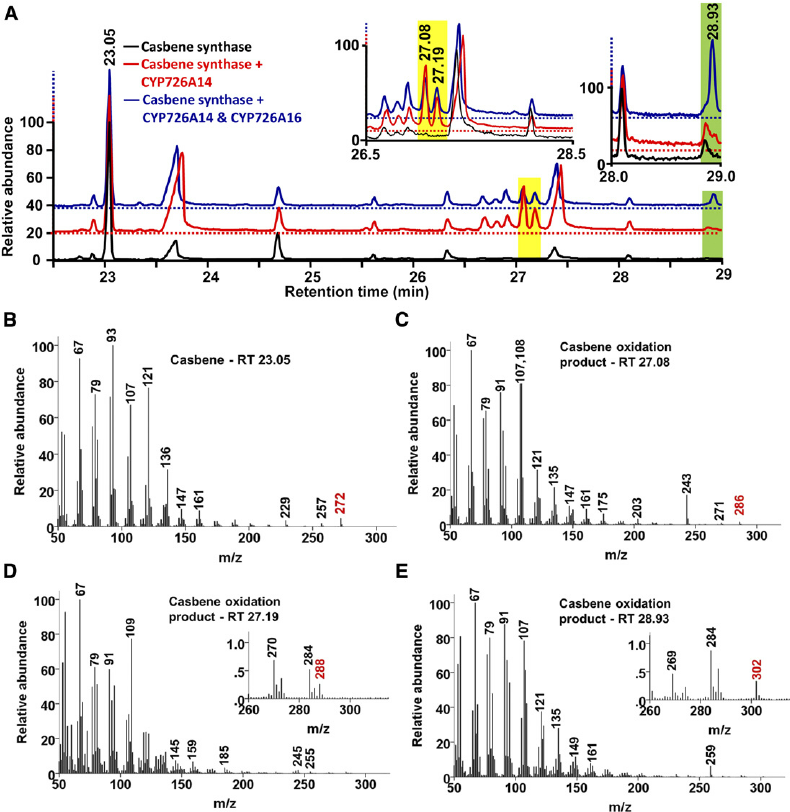 General Science Journals: Phytochemical Screening and GC-MS Analysis of ...