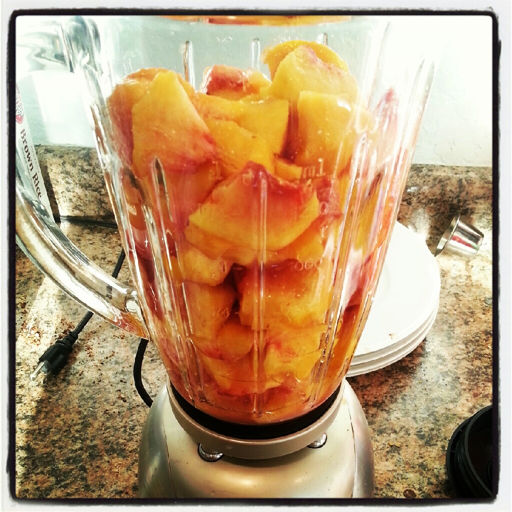 La Buena Vida How to Make Fruit Leather