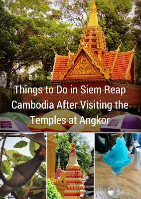 Sidewalk Safari Blog Post: Things to Do in Siem Reap Cambodia After Visiting the Temples at Angkor