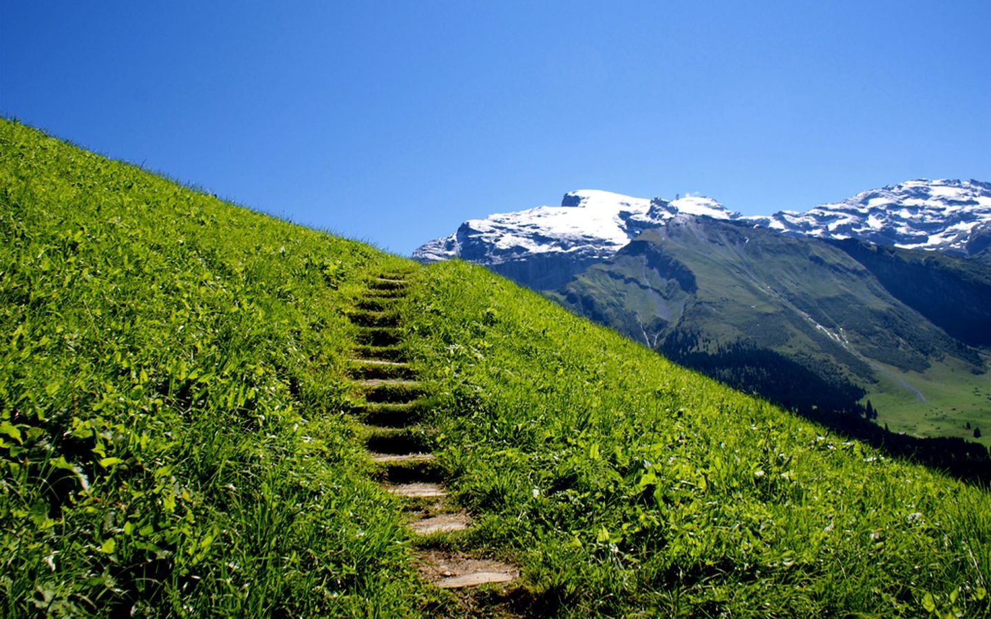 Зеленые холмы швейцарии. Деревня в австрии гальштат. Сказочные горы. Зеленые холмы швейцарии. На сказочных склонах.