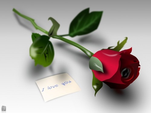Cute rose wallpaper gallery - ONLINE NEWS ICON