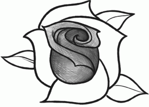 6 Langkah Menggambar Sketsa Bunga Mawar Silahia Design Art Gambar