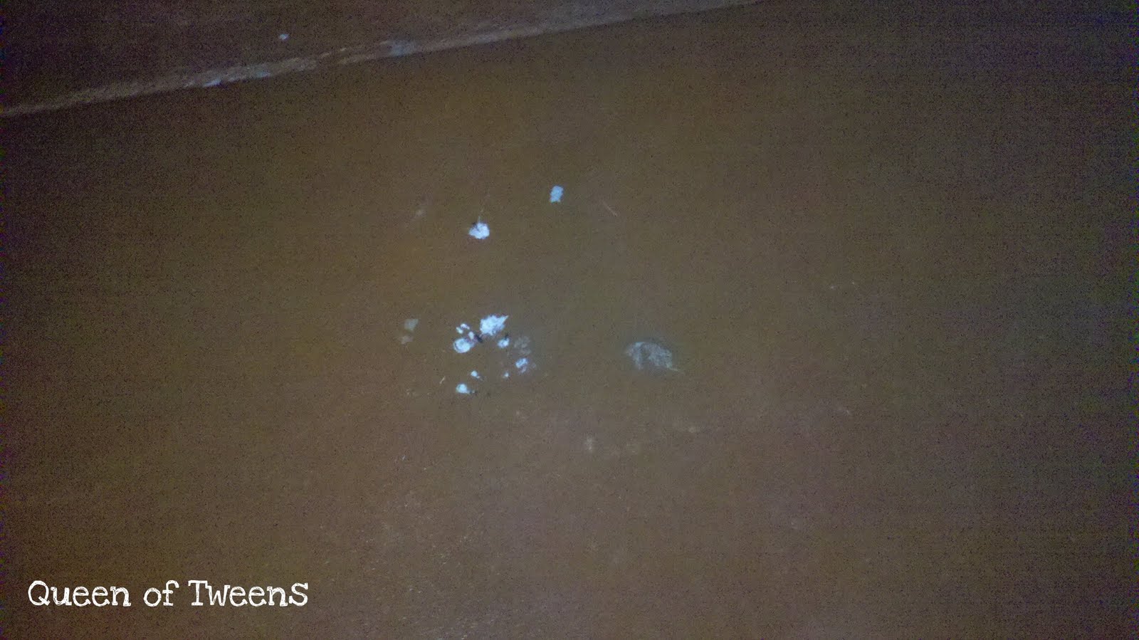 Queen of Tweens - Money, Manners, and Make-up: The Good, The Bad, The