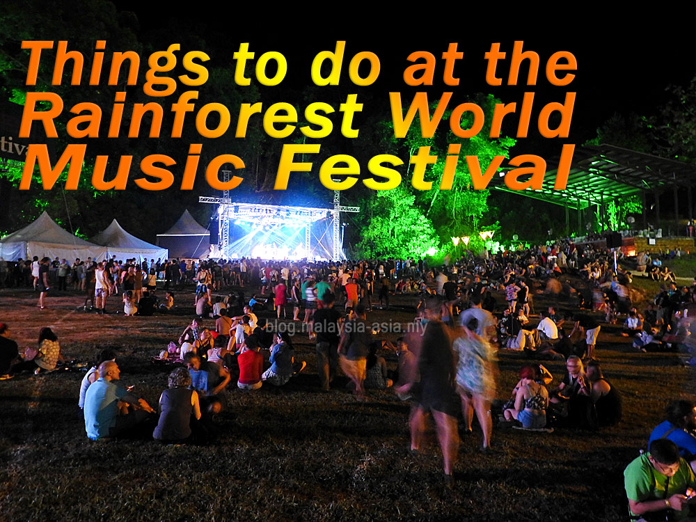 Things to do at the Rainforest World Music Festival